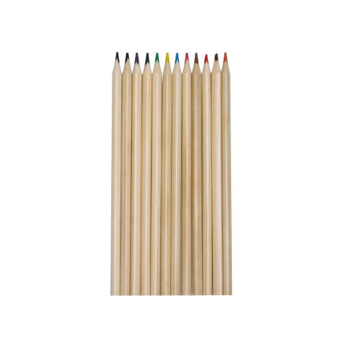 Набор из 12 цветных карандашей Painter; - купить необычные сувениры в Воронеже