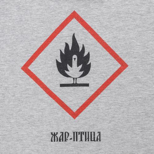 Футболка «Жар-птица»; - купить необычные сувениры в Воронеже