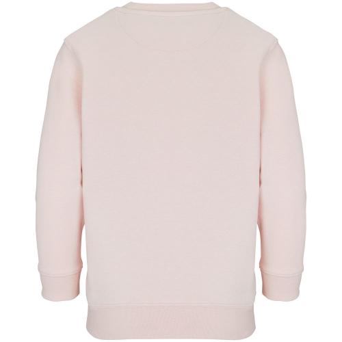 Свитшот детский Columbia Kids; - купить необычные сувениры в Воронеже