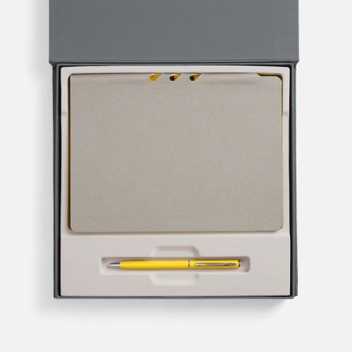 Набор Flexpen Grey; - купить необычные подарки в Воронеже