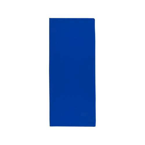 Lucas спортивное полотенце из переработанного полиэстера 30х80 см - Ярко-синий; - купить необычные сувениры в Воронеже