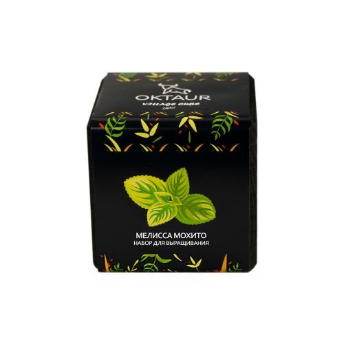 Набор для выращивания Small village cube Мелиса Мохито; - купить необычные подарки в Воронеже